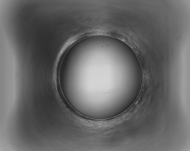 X0000111610006200907171233