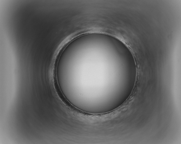 X0000111610007200907171233