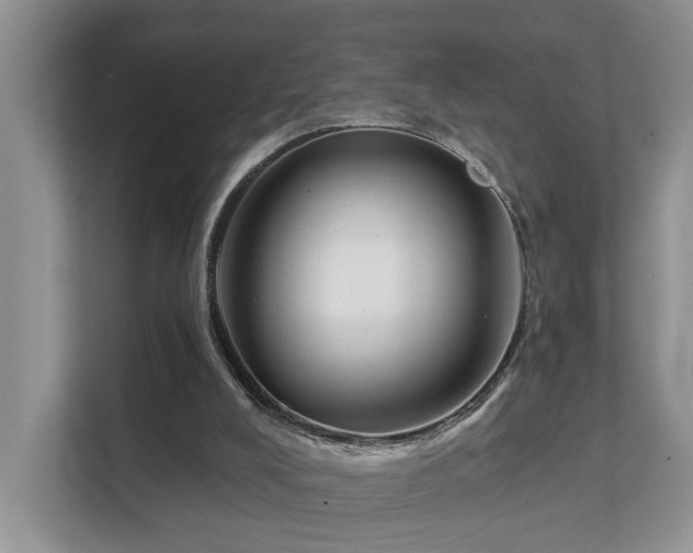 X0000111610008200907171233