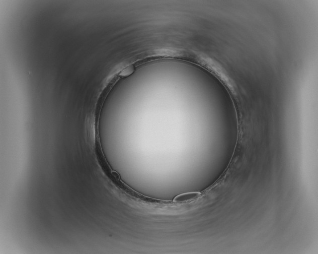X0000111610011200907171233