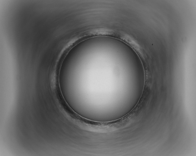 X0000111610012200907171233