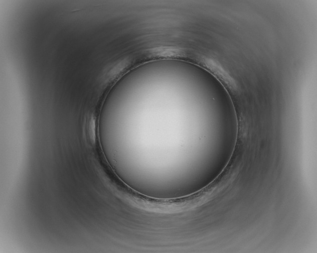 X0000111610014200907171233