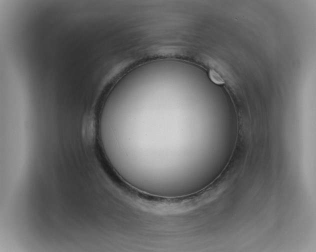 X0000111610016200907171233