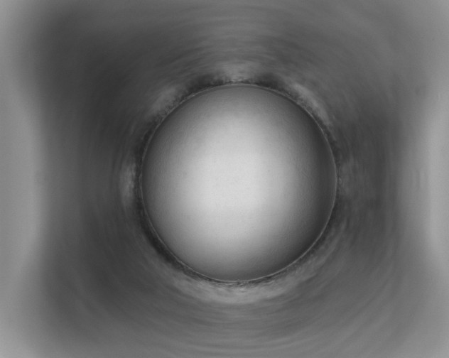 X0000111610018200907171233