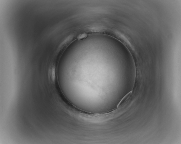 X0000111610019200907171233