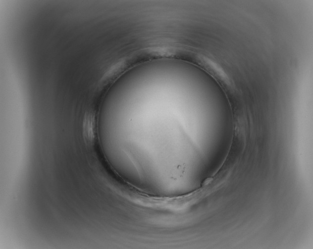 X0000111610023200907171233