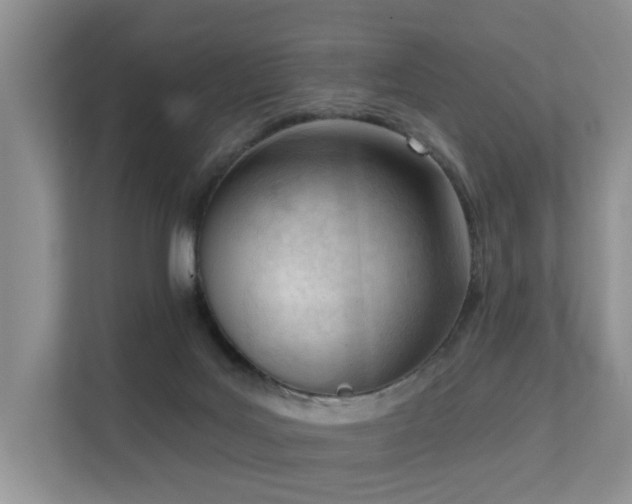 X0000111610027200907171233