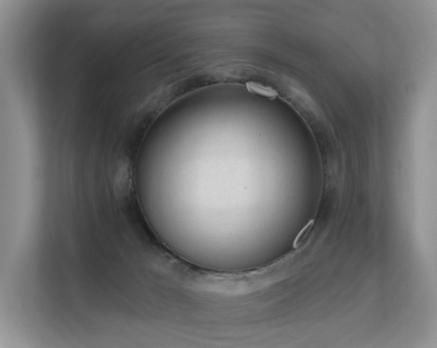 X0000111610029200907171233