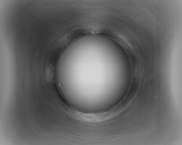 X0000111610030200907171233