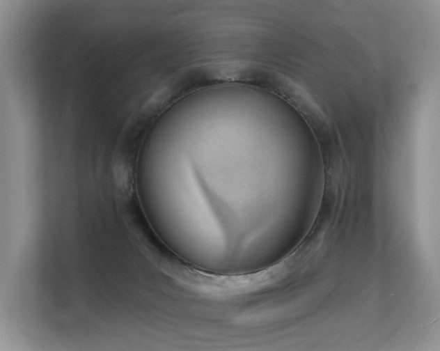 X0000111610031200907171233