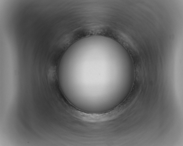 X0000111610034200907171233