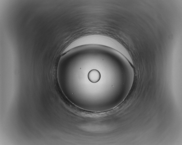 X0000111610036200907171233