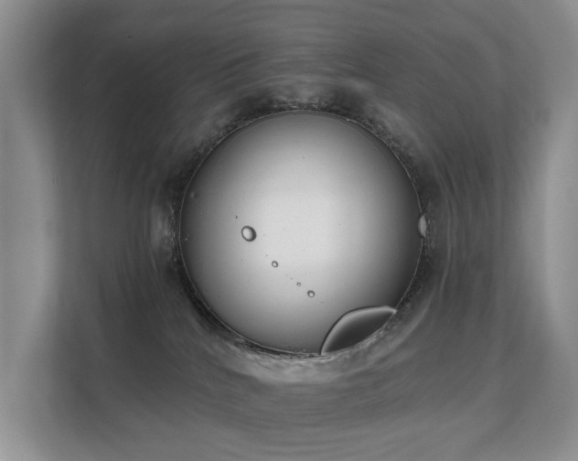 X0000111610040200907171233