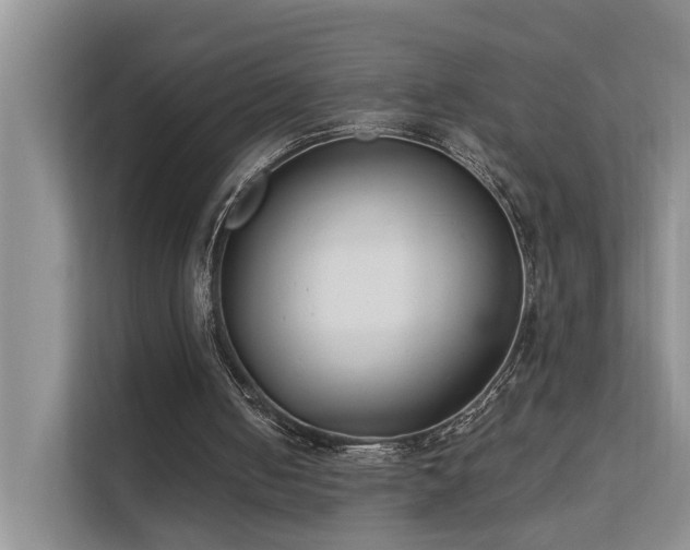 X0000111610050200907171232