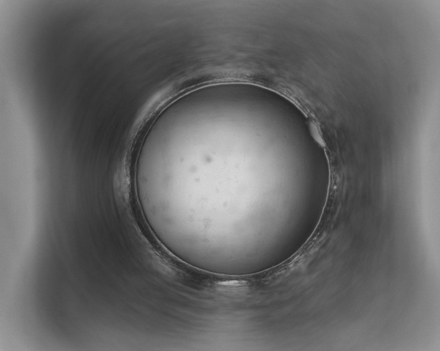 X0000111610053200907171232