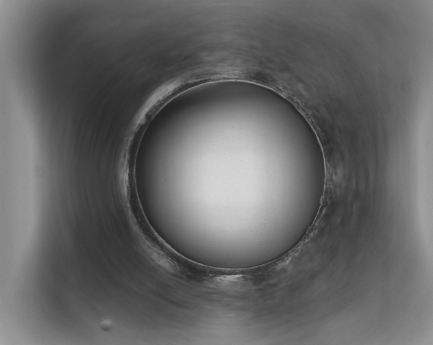 X0000111610054200907171232