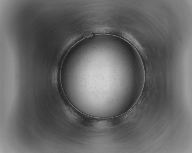 X0000111610058200907171232