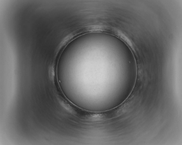 X0000111610059200907171232