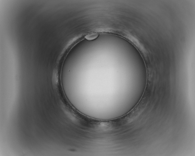 X0000111610060200907171232