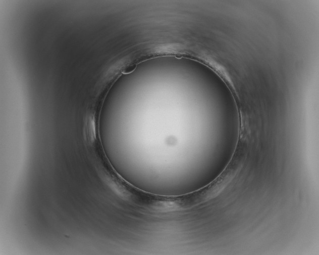 X0000111610061200907171232
