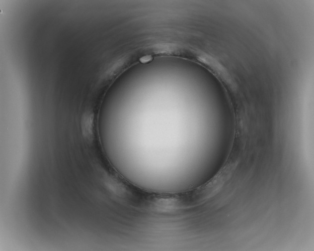 X0000111610066200907171232