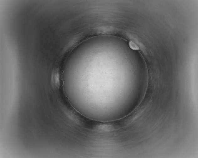 X0000111610067200907171232