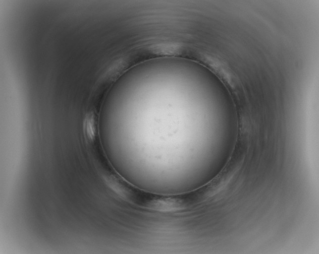 X0000111610069200907171232