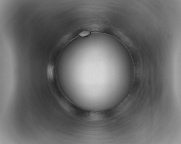 X0000111610070200907171232