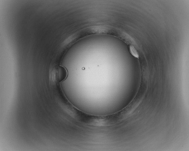 X0000111610071200907171232
