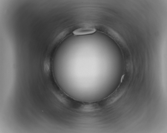 X0000111610072200907171232