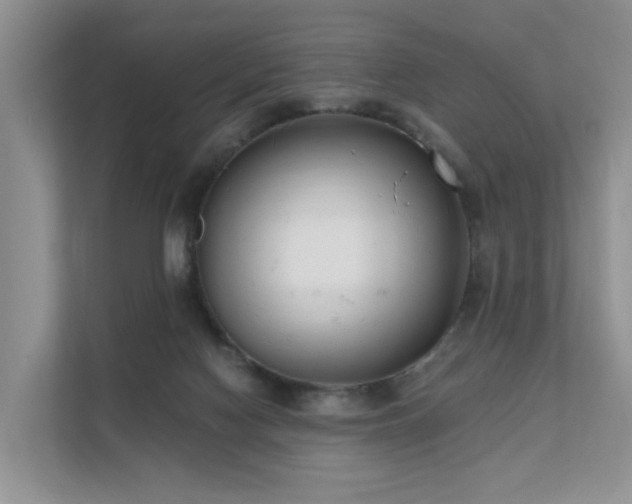 X0000111610074200907171232
