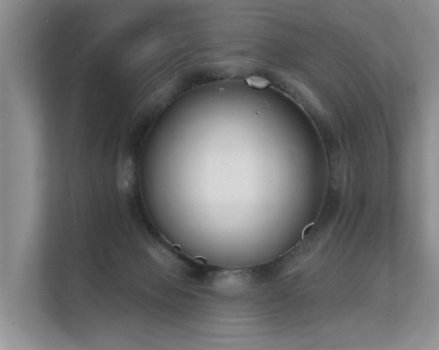 X0000111610077200907171232
