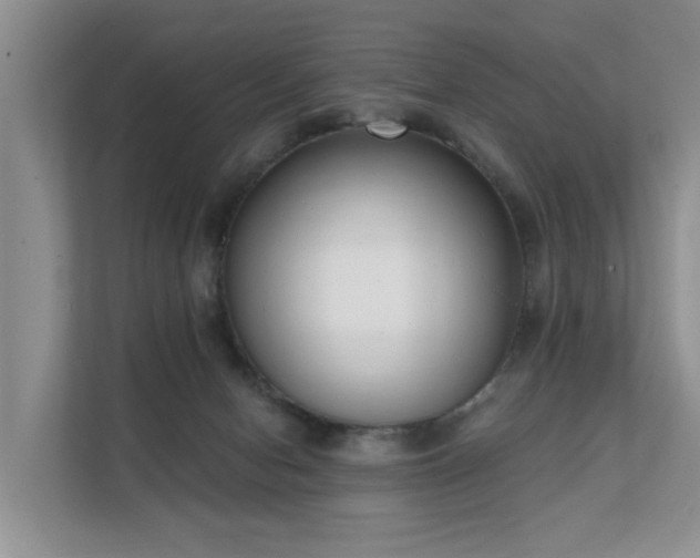 X0000111610078200907171232