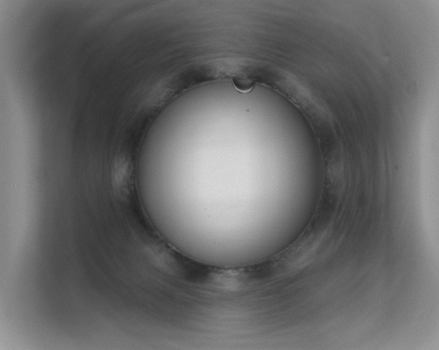 X0000111610079200907171232