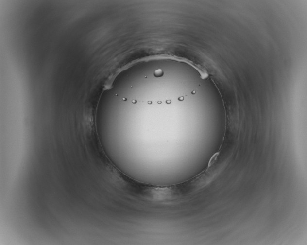 X0000111610085200907171232