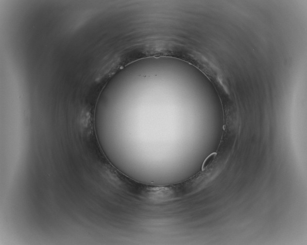X0000111610087200907171232