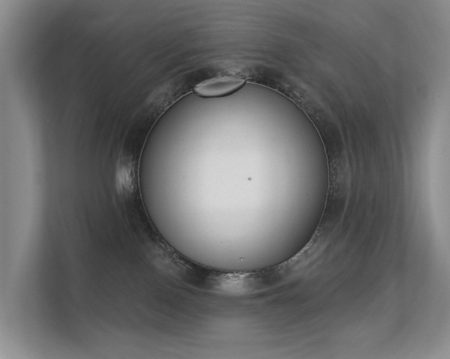 X0000111610090200907171232