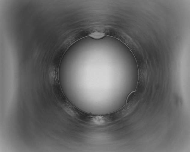 X0000111610091200907171232