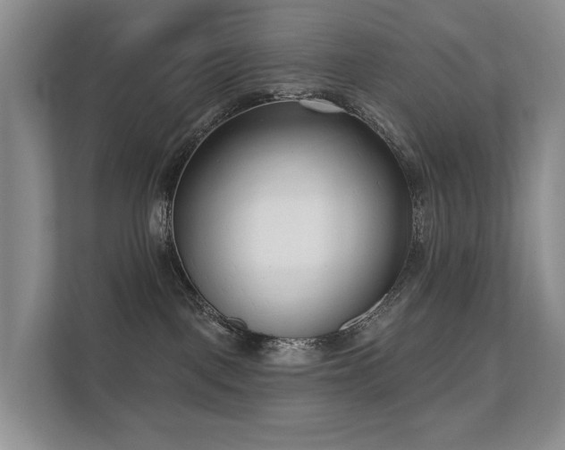 X0000111610093200907171232