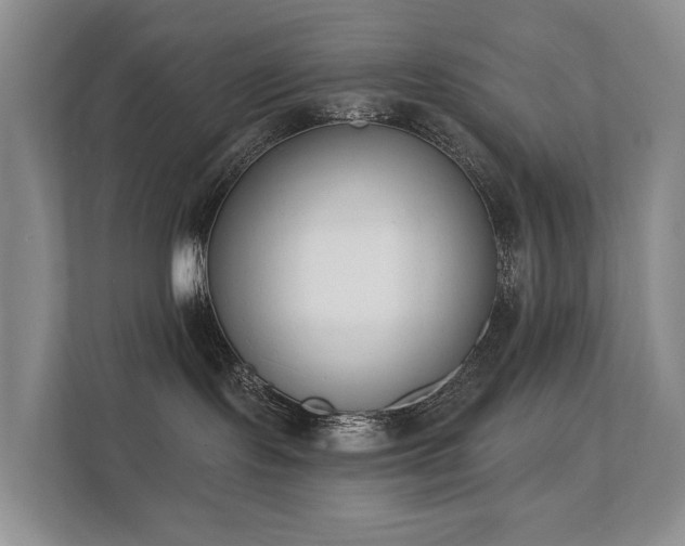 X0000111610095200907171232