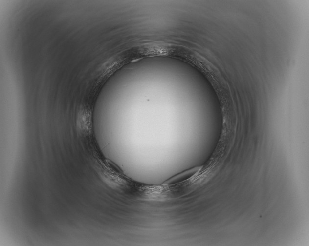 X0000111610096200907171232