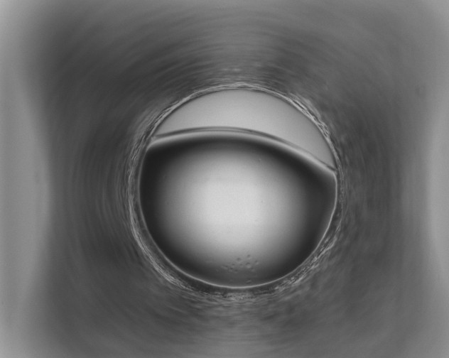 X0000111610097200907171232