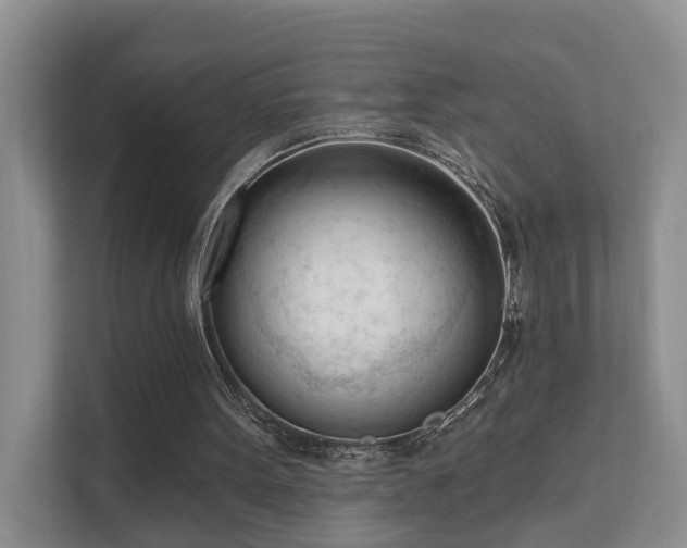 X0000111610099200907171232