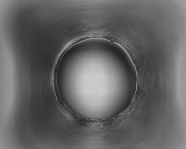 X0000111610100200907171232