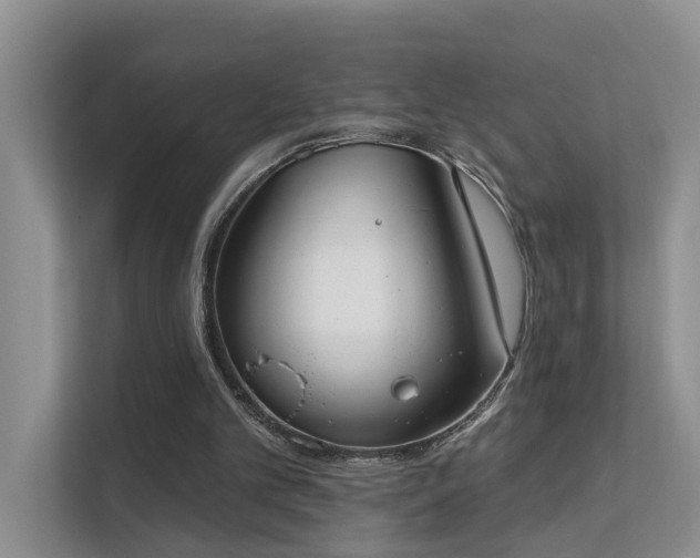 X0000111610101200907171232