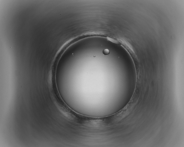 X0000111610108200907171232