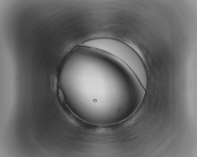 X0000111610109200907171232