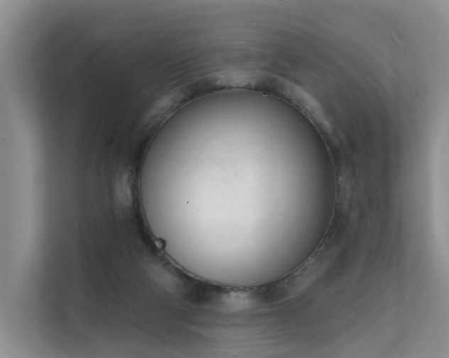 X0000111610114200907171232