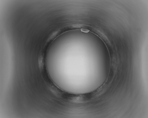 X0000111610116200907171232