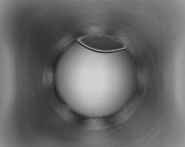 X0000111610117200907171232